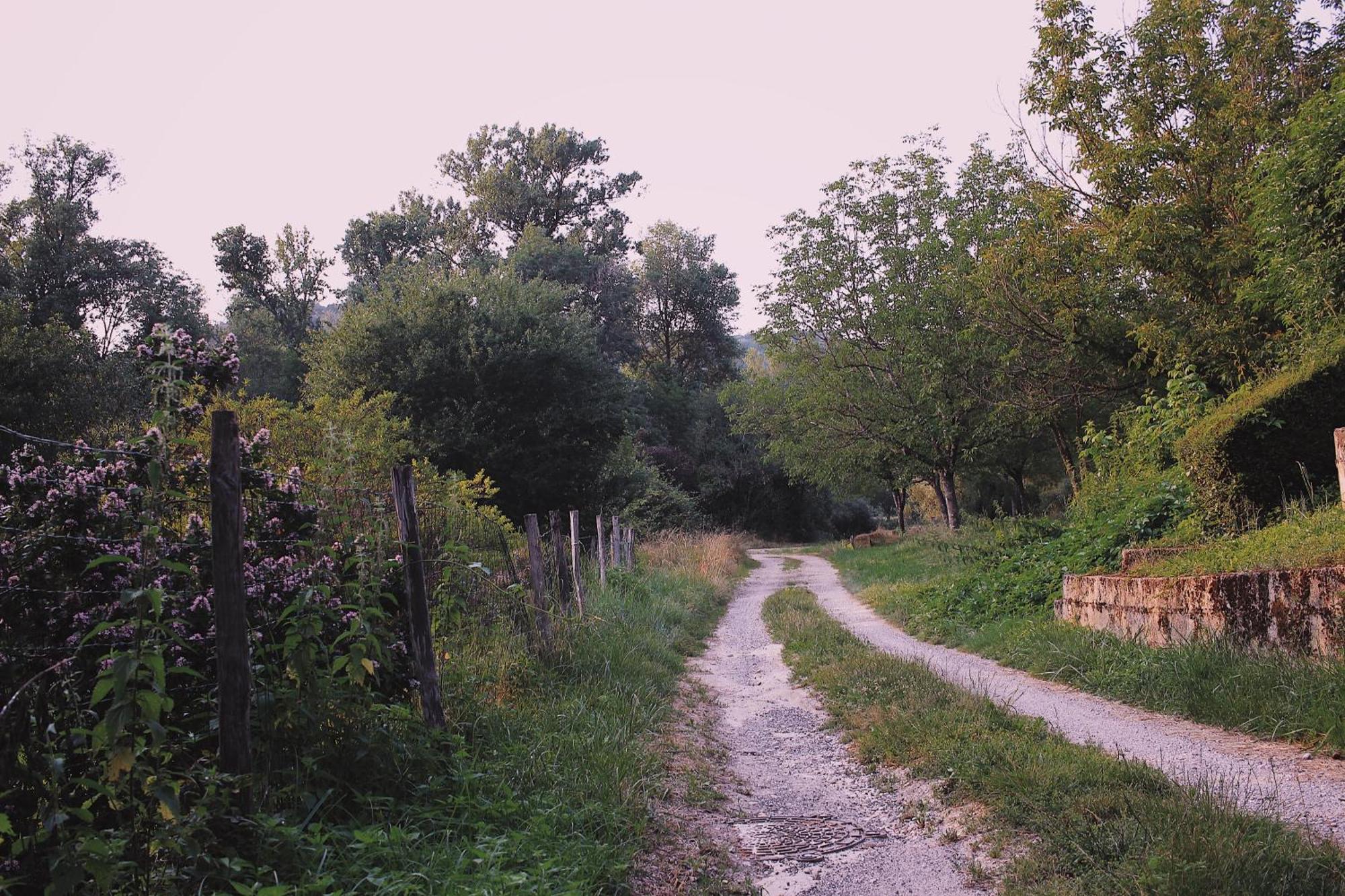 Joli Gite Pour 5 Personnes : Chez Cherrie Saint-Julien-de-Lampon Exteriör bild